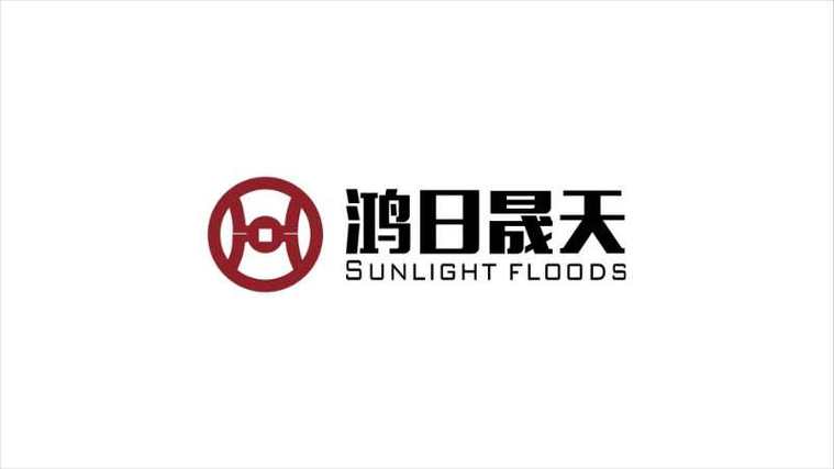 深圳鸿日晟天资产管理