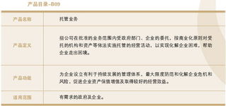 中国长城资产管理公司金融产品与金融服务解析 资产管理业务的深度实践